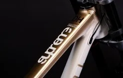 COMMENCAL SUPREME DH V5 GRADIENT GOLD 14 COMMENCAL SUPREME DH V5 GRADIENT GOLD -BIKE shop 22SUPV5ALC4 04 2000